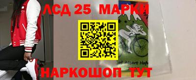 сатива Бийск