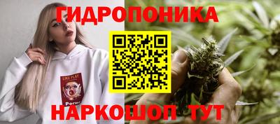 сатива Бийск
